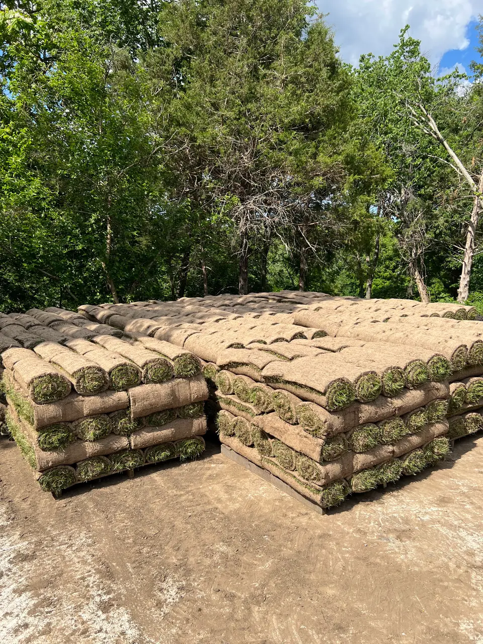 Stacked rolls of sod ready for installation