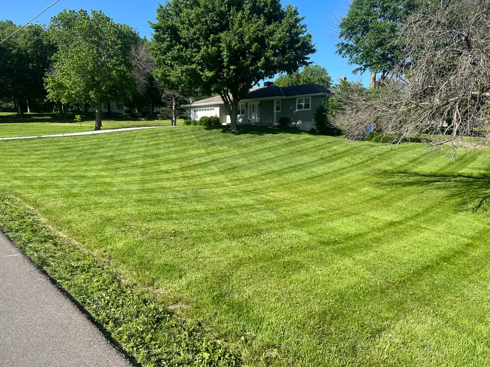 Freshly striped lawn along a driveway