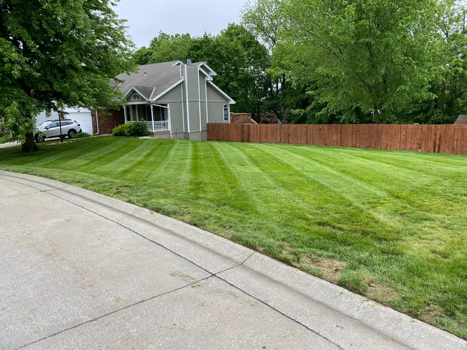 Green lawn and wood privacy fence beside a gray house